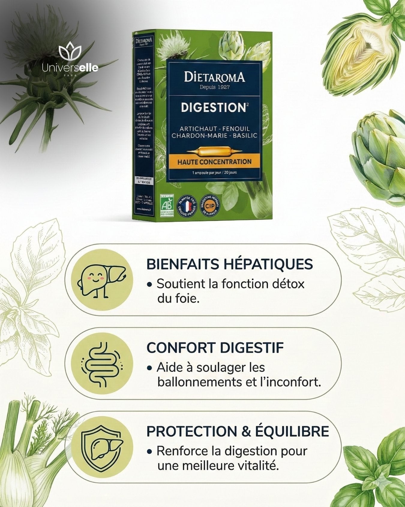 Ampoules Digestion &amp; Détox Foie BIO - Dietaroma Digestion² (Cure 20 Jours) - Artichaut &amp; Chardon-Marie