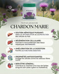 Gélules Chardon-Marie PROPHAR : Détox Foie, Régénération Hépatique &amp; Anti-Cholestérol (100 Gélules)
