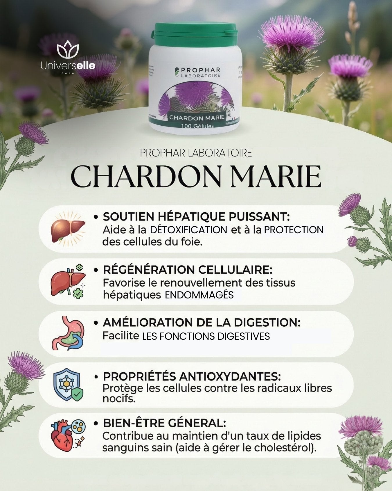 Gélules Chardon-Marie PROPHAR : Détox Foie, Régénération Hépatique &amp; Anti-Cholestérol (100 Gélules)