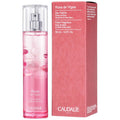 Rose de Vignes Eau Fraiche - 50ml