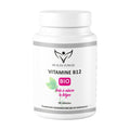 Health Power Vitamine B12 90 Comprimes