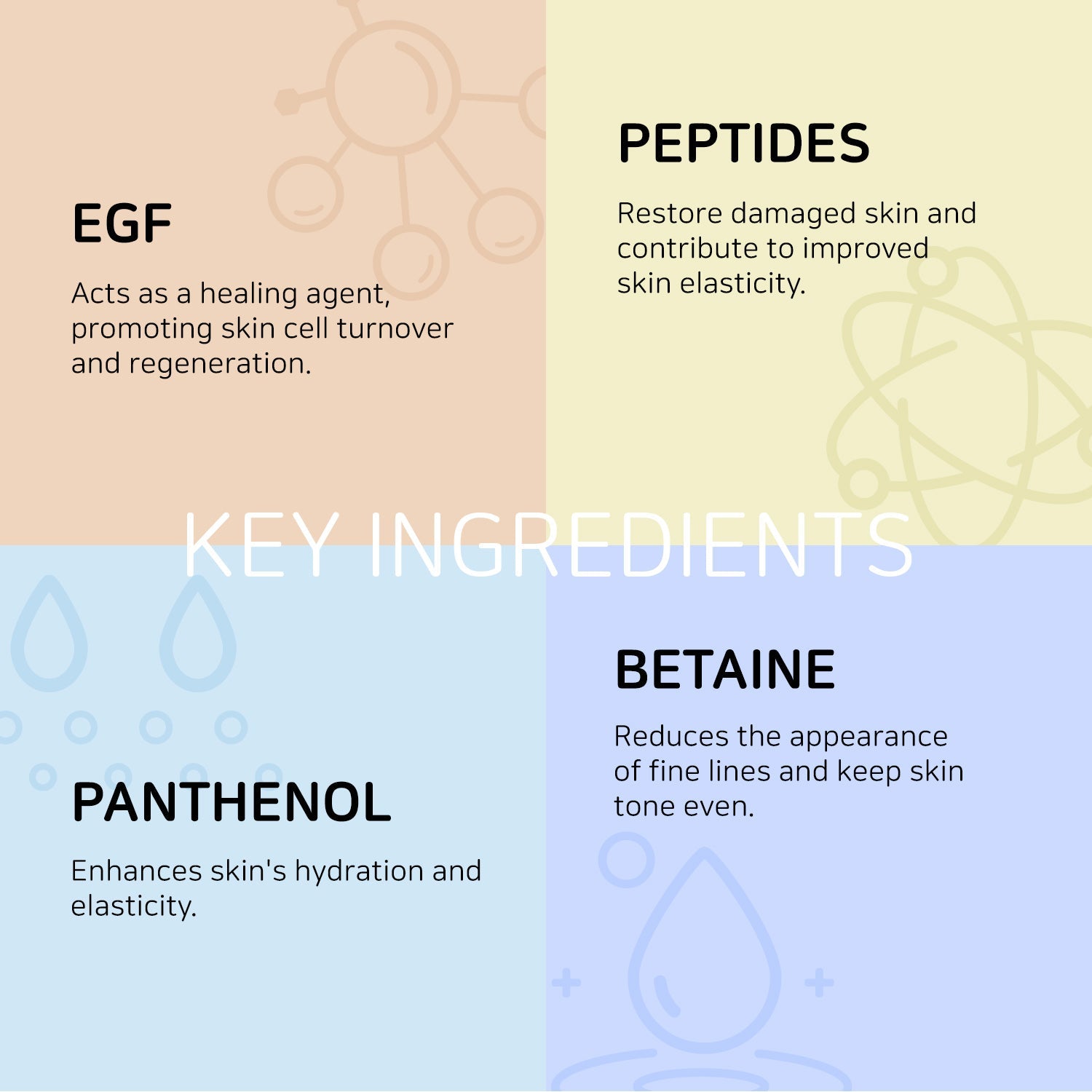 COXIR Intensive EGF Peptides Serum 50ml Sérum Anti-Âge Régénérant Facteur Croissance Peptides Rides Fermeté K-Beauty